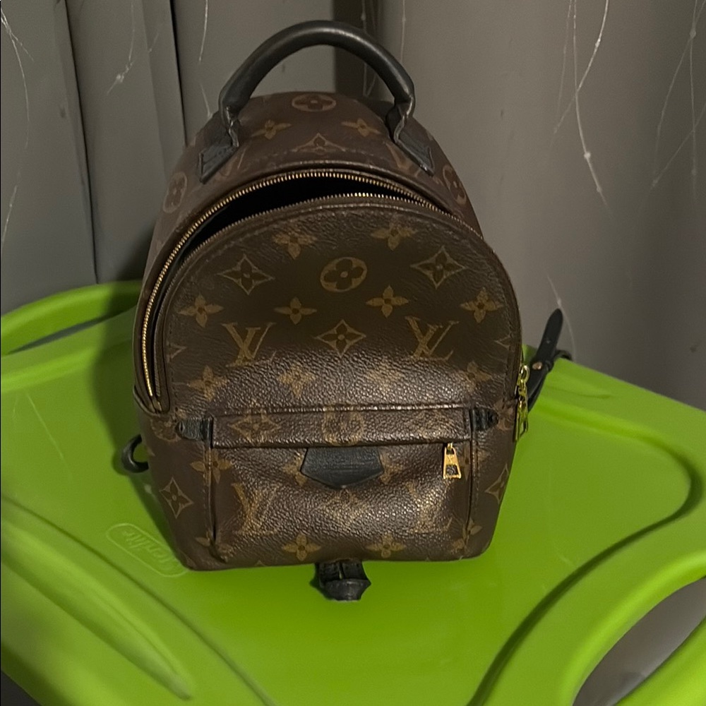 Louis Vuitton Palm Springs Mini Backpack